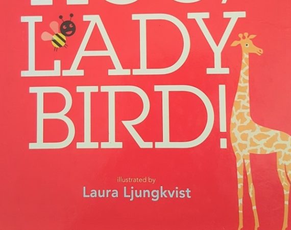 Yoo-Hoo Ladybird  By Mem Fox & Laura Ljungkivst