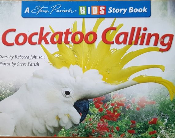 Cockatoo Calling by Rebecca Johnson & Steve Parish