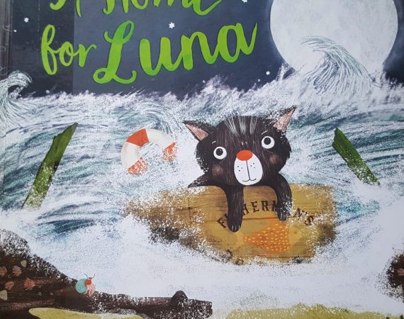 A Home for Luna by Stef Gemmill & Mel Armstrong (New Frontier Publishing)