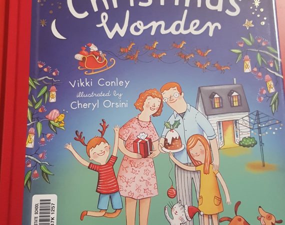 Christmas Wonder by Vikki Conley & Cheryl Orsini (Affirm Press)