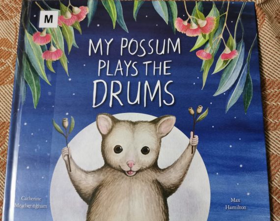 My Possum Plays The Drums by Catherine Meatheringham & Max Hamilton (Windy Hollow Books)
