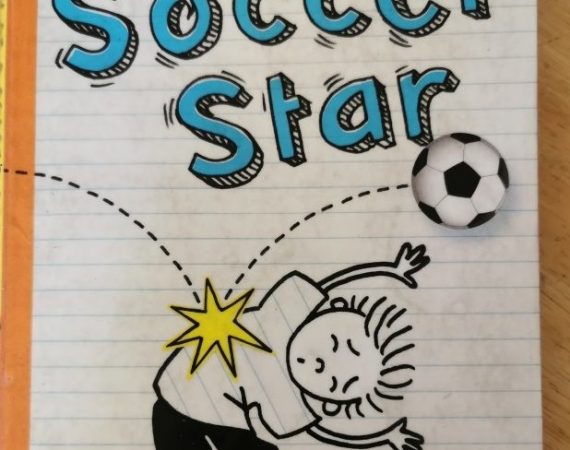 Diary Of A Soccer Star by Shamini Flint & Sally Heinrich (Allen & Unwin)
