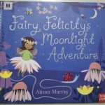 Fairy Felicity’s Moonlight Adventure by Alison Murray (Nosy Crow)